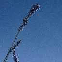 3760246989527_ 5.webp